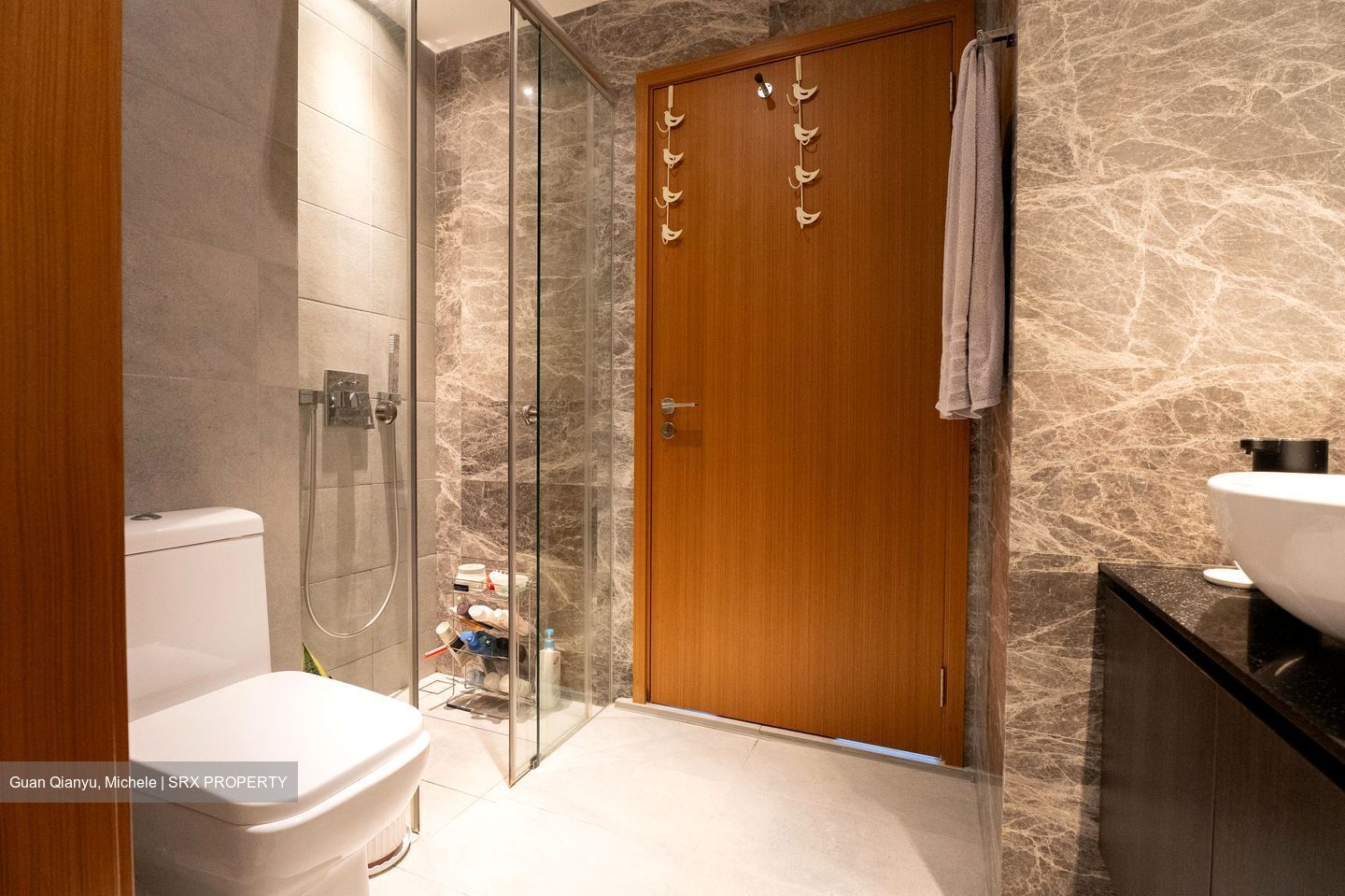 Spottiswoode Suites (D2), Apartment #538426211